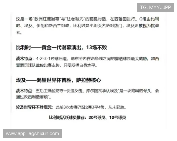 2026年世界杯比利时对阵埃及比赛前的风险提示与赛事安全保障措施